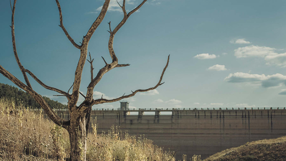 VIII Festival Terrer Priorat