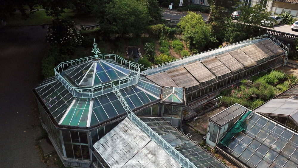 Les serres du Jardin botanique de Liège : les secrets de la vanille