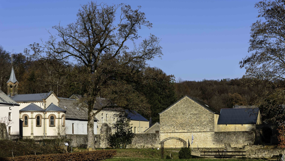 Une après-midi gourmande et curative à Clairefontaine