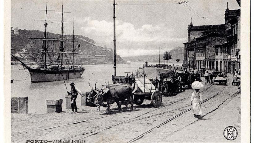 24# O Geocaching nos Caminhos do Romântico como revelação do Território - Com Teresa Portela Marques e Carolina Sousa