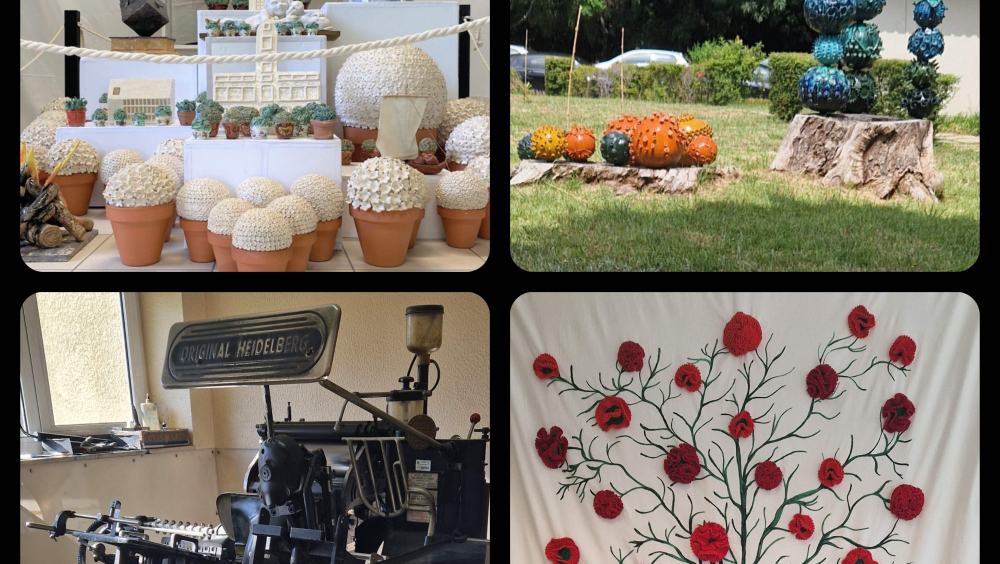 Conhecer o Património do Hospital Magalhães Lemos