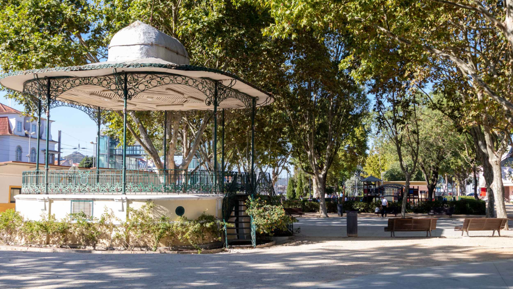 Um coração não bate sozinho num bosque idílico