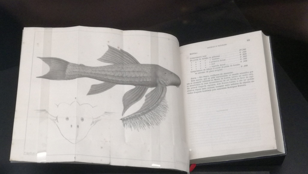 Redes do Património Científico: O MUHNAC e a Academia das Ciências de Lisboa