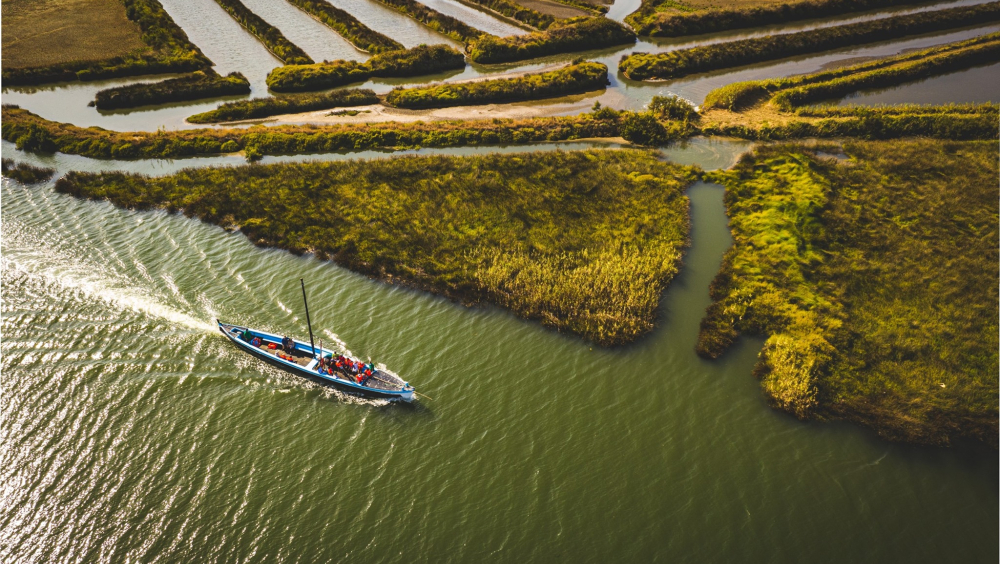 Visita Comentada ao Estuário do rio Mondego, no batel Sal do Mondego