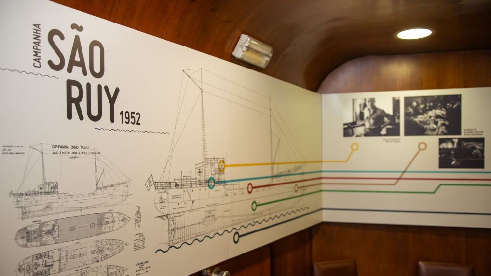 Visualização do documentário: “Campanha do São Ruy 1952” (durante o dia)