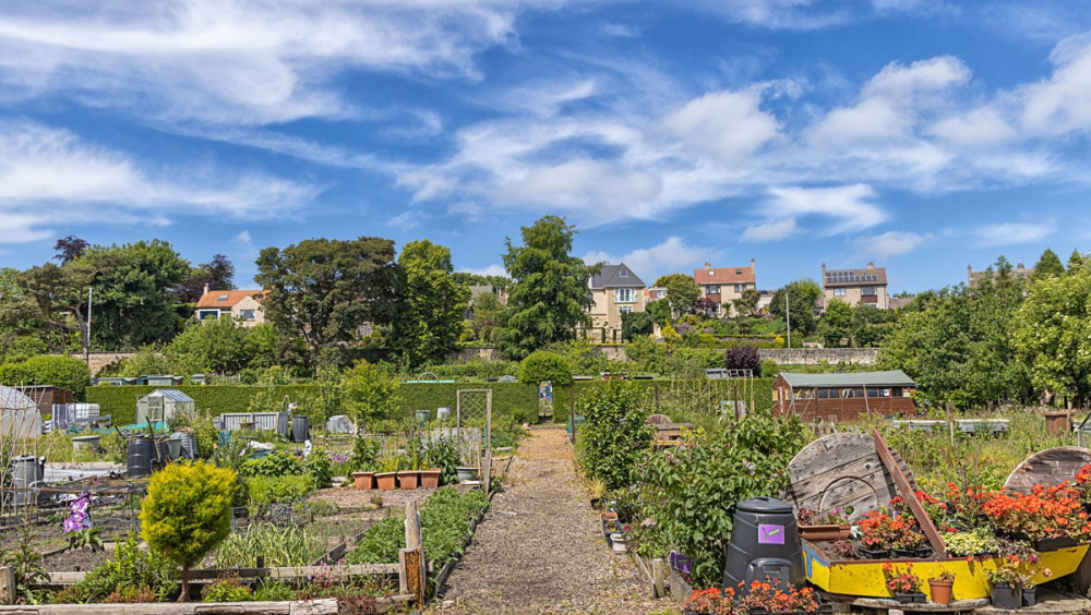 Kirkcaldy Community Gardens & Allotments (Ravenscraig)