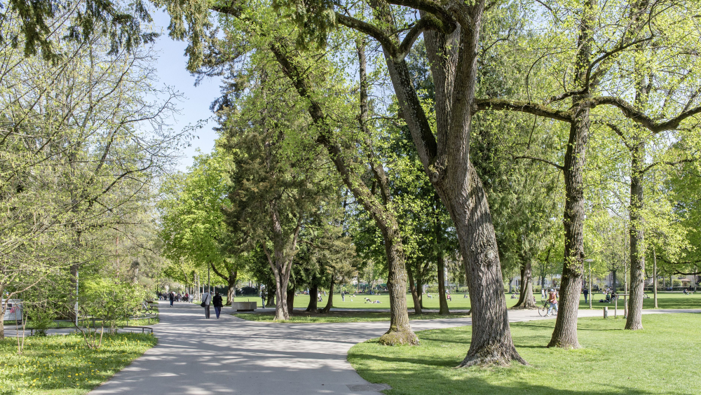 SCHÜTZENMATTPARK: VON DER SCHÜTZENWIESE ZUM BELIEBTEN VOLKSPARK