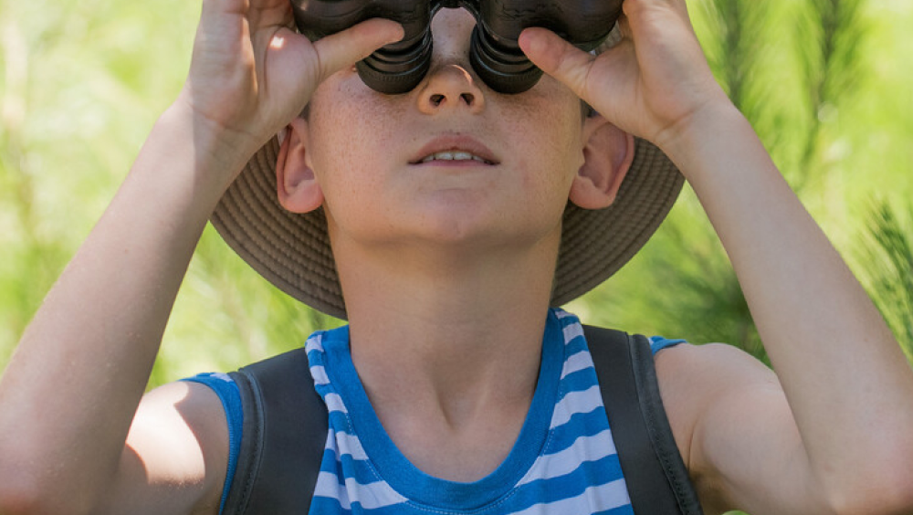 Sotré's Horror Story