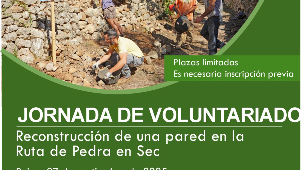 CARTEL JORNADA DE VOLUNTARIADO (español)