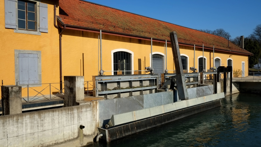 HISTOIRES D’UN SITE : LES BERGES DE VESSY