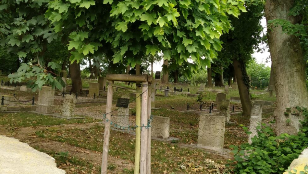 „PAMIĘĆ I HISTORIA” – WYCIECZKA DO LAPIDARIUM Organizator