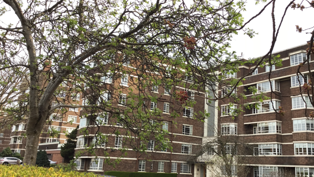 Kelvin Court