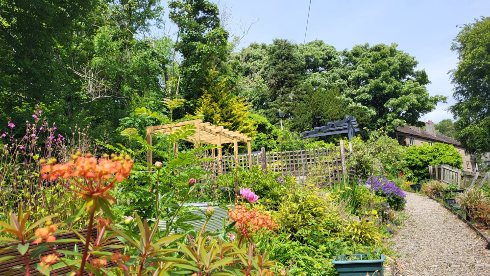 Kilbarchan Smile - The Old Library Centre