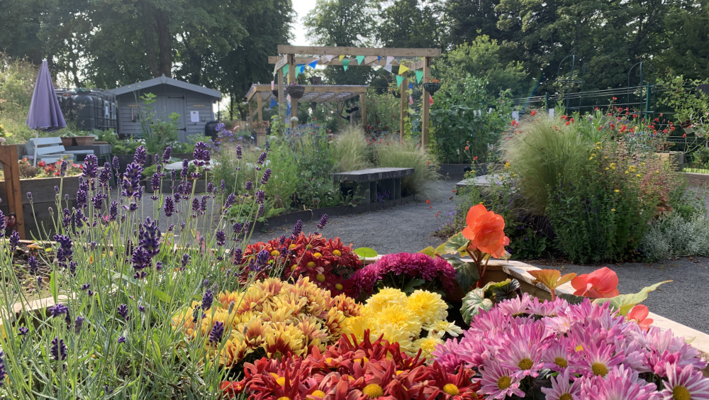 Paisley - The Walled Garden and Community Garden Barshaw Park