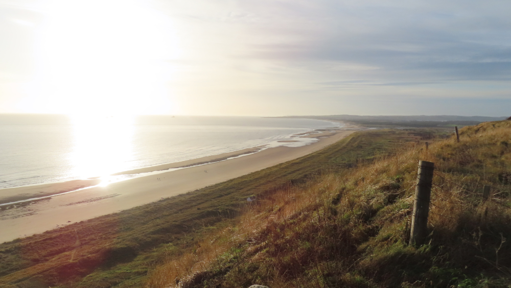 St Cyrus National Nature Reserve