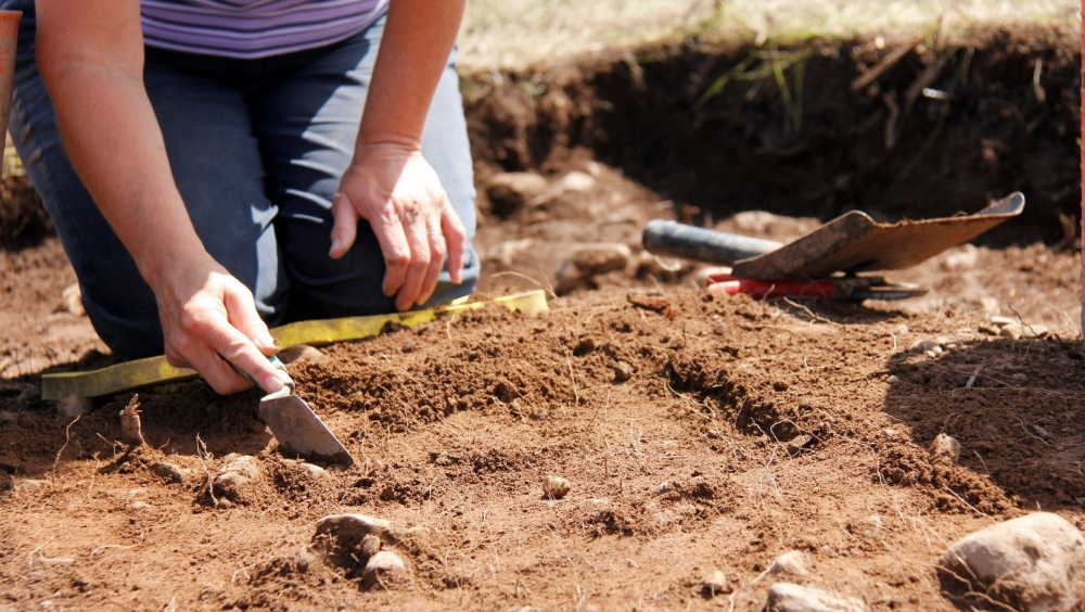Priorwood Garden Excavation