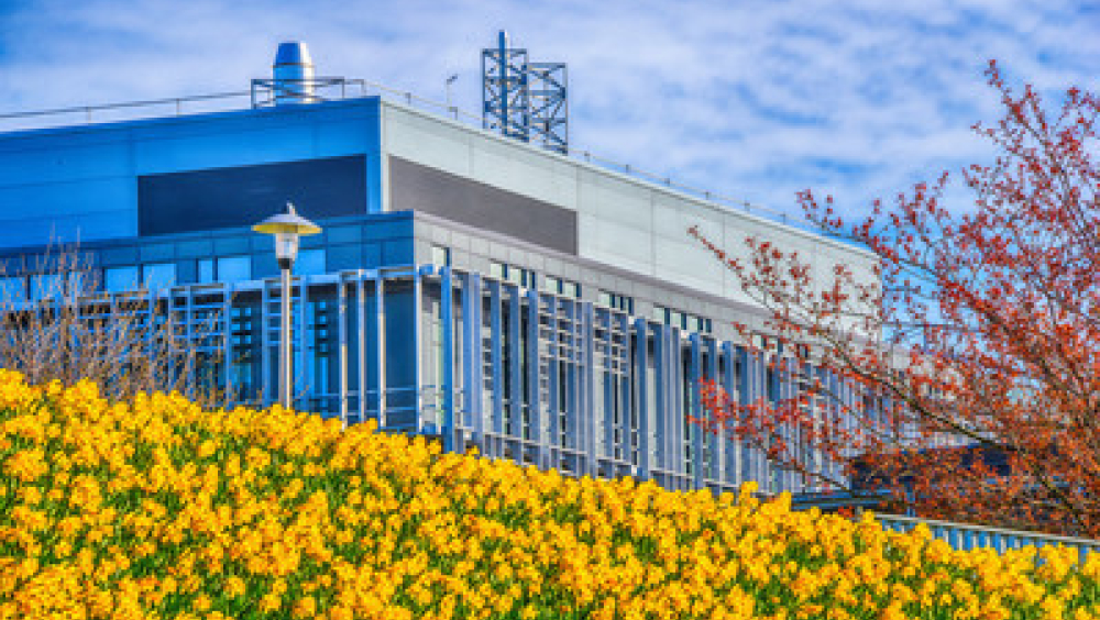 The Rowett Institute