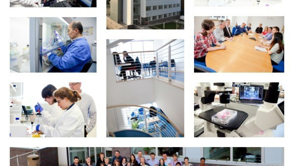 School of Medicine, University of Dundee