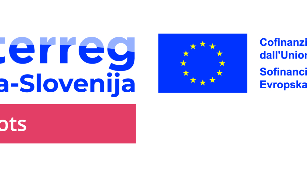 Sledi umetnosti v čezmejnem prostoru: neodkriti avtorji med Vipavo in Sočo