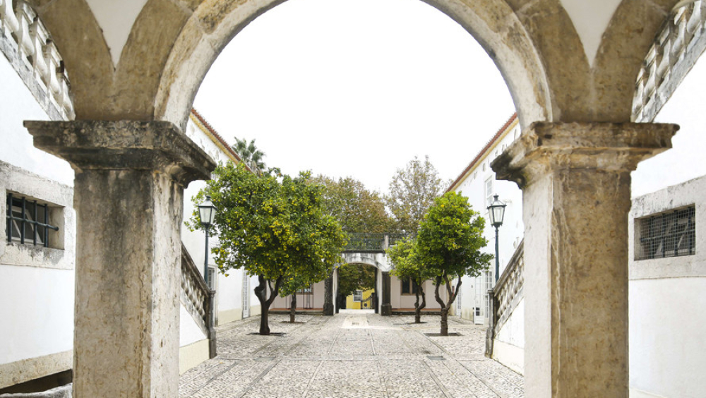 Visita Orientada «Casa com Jardim»