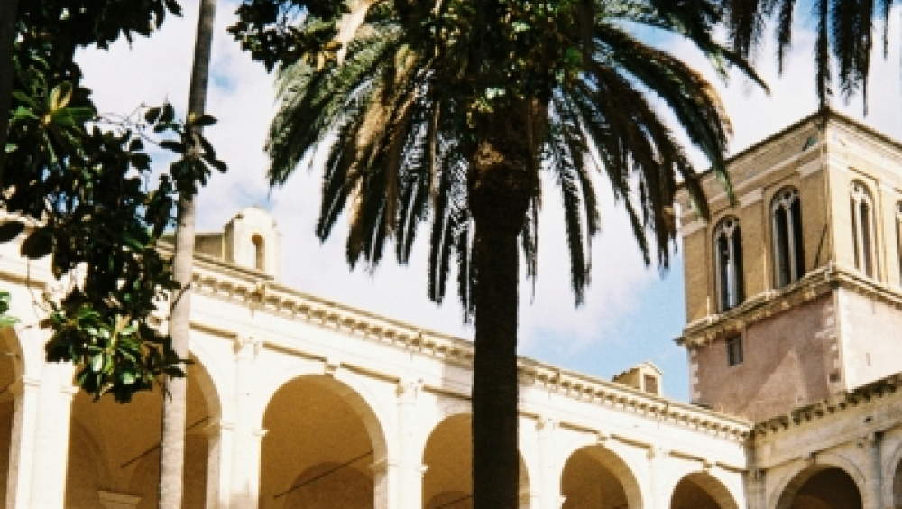 Innesti tra natura e architettura - Le mille storie del VIVE - Visita guidata a Palazzo Venezia