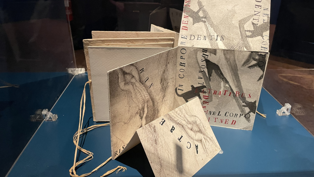 Per imagines. Classici latini e libri d'artista da Dürer a Picasso