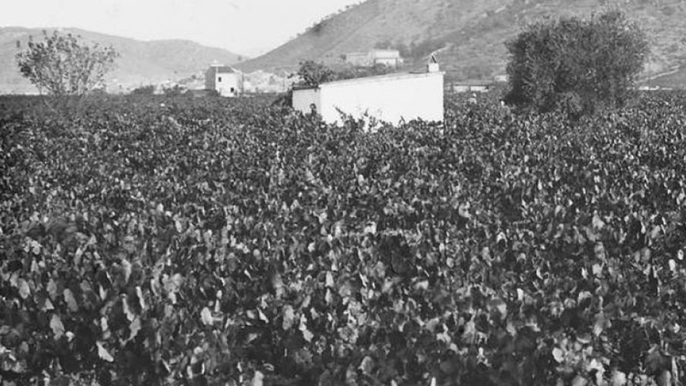 Quan Martorell no hi era. Itinerari geològic