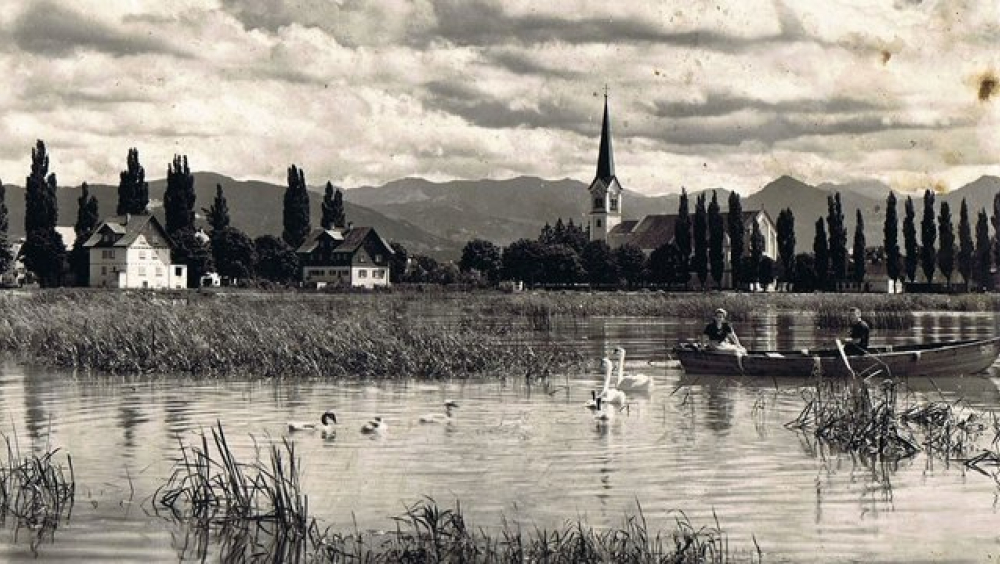 Die Seerunde in Hard: Eine Entdeckungsreise rund um den See