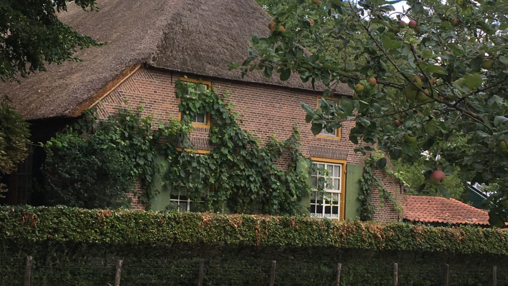 Boerderij Bosscheweg 24