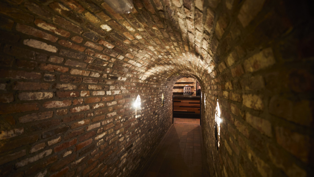 Rondleiding brouwerij en bierproces