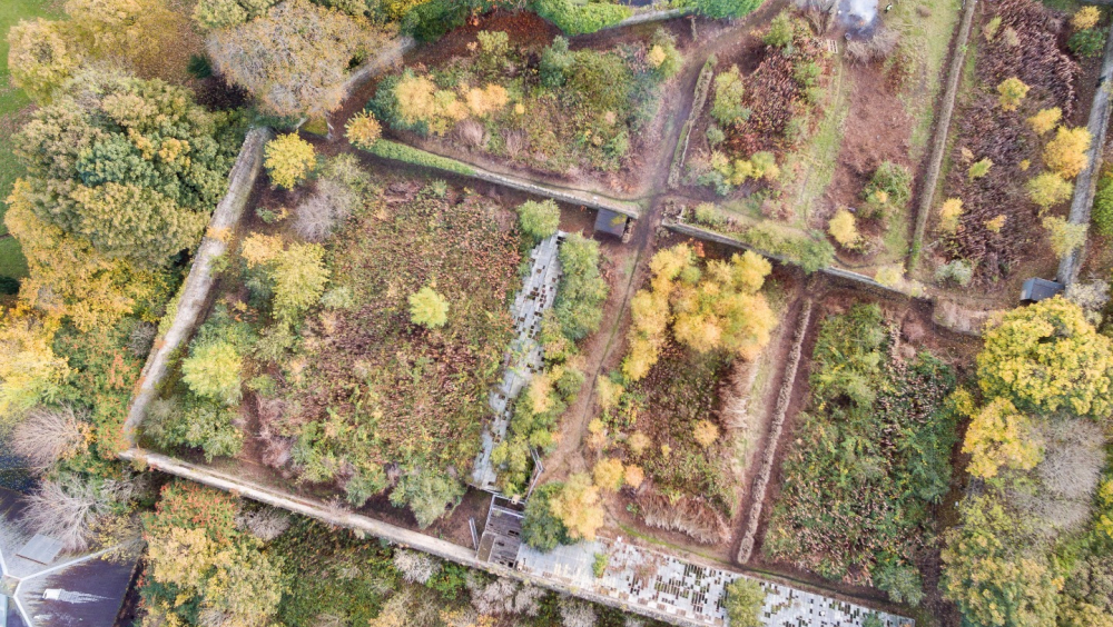 Granton Castle Walled Garden - Friends of Granton Castle Walled Garden