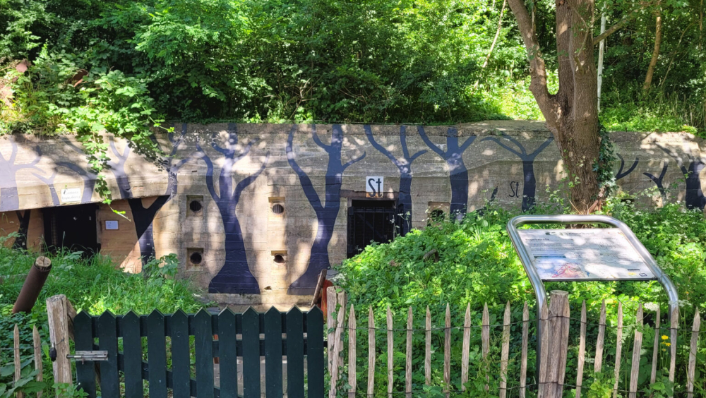 Bunkercomplex Widerstandsnest 318