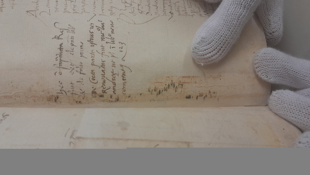 Armonie dal medioevo