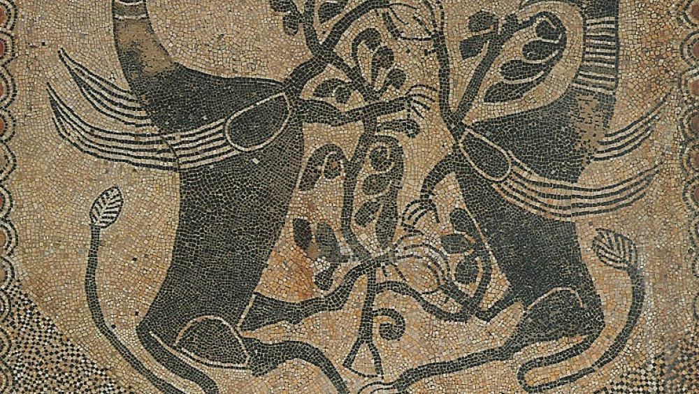 Visite all'Abbazia di Fruttuaria