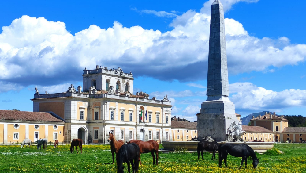 GEP 2025 | Carditello Experience – Edizione Autunnale GEP 2025 “Architetture: l’arte di costruire”