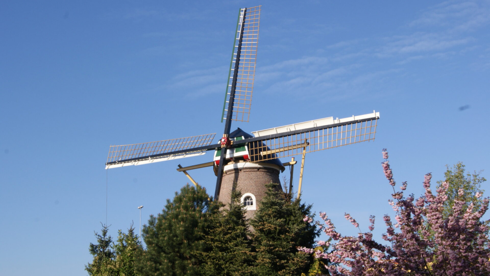 Molen Hertogin Johanna van Brabant
