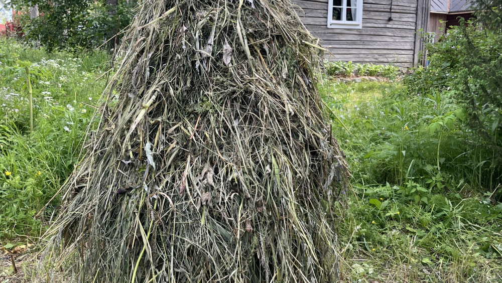 Striimattu luento: Suomalainen ruokahistoria