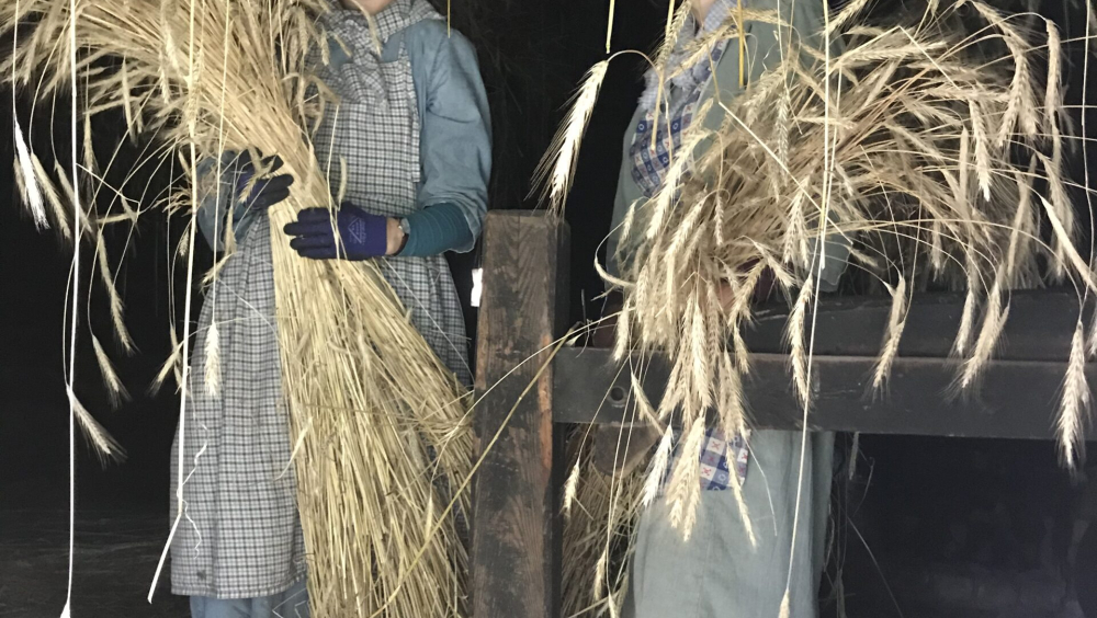 Korteniemen perinnetilan kulttuuriympäristöpäivä