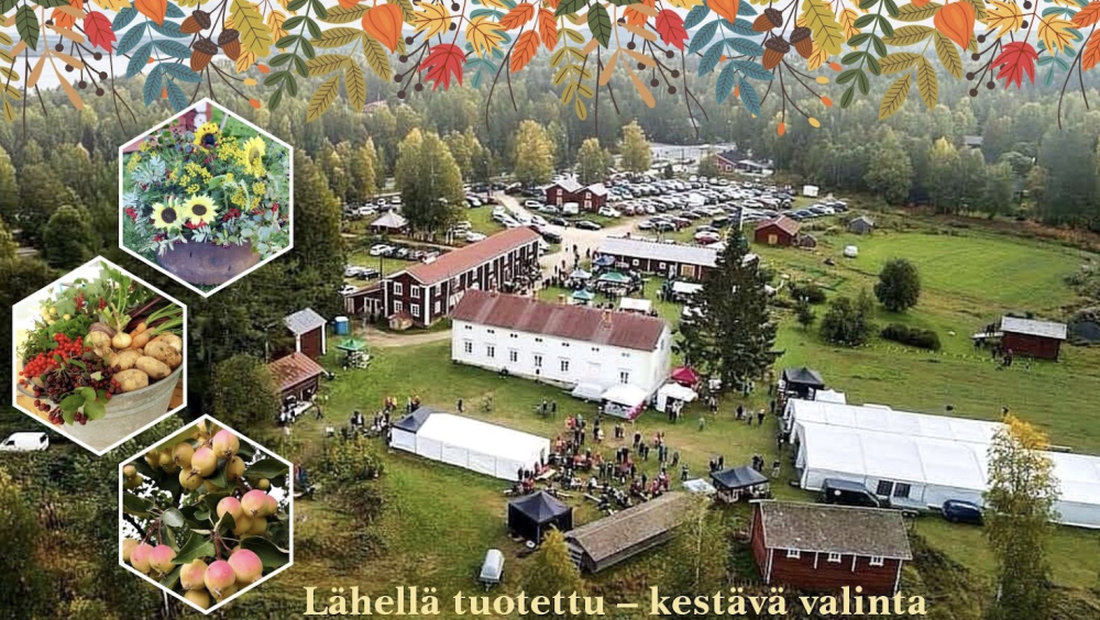 Sadonkorjuumarkkinat