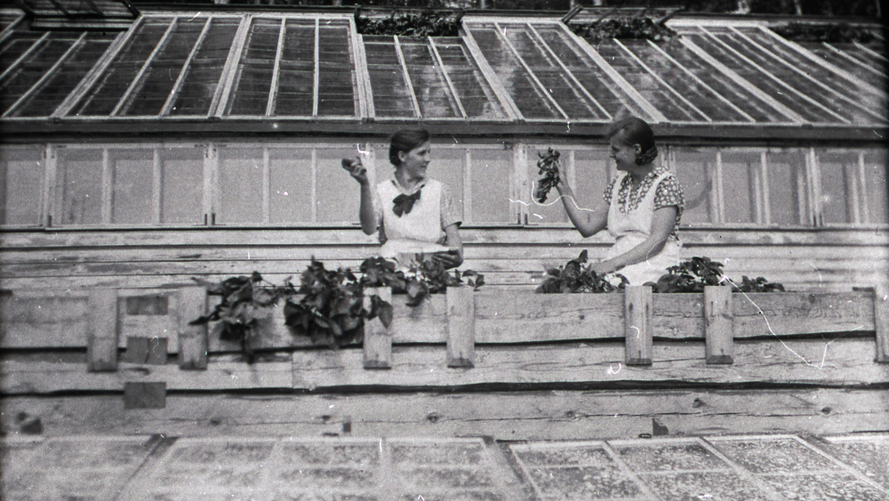 Kalliokosken lasitehtaan ympäristön kävelykierros