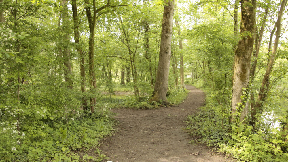 Rondleiding Kasteelgaarde
