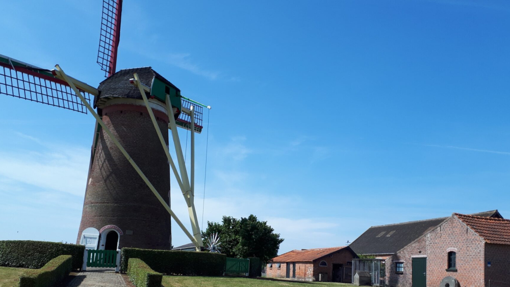 Molen Vogelzicht Kuitaart