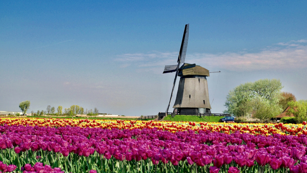 Museummolen Ondermolen D