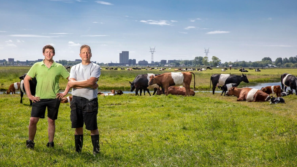 Lakenvelder Boerderij Boterhuispolder x