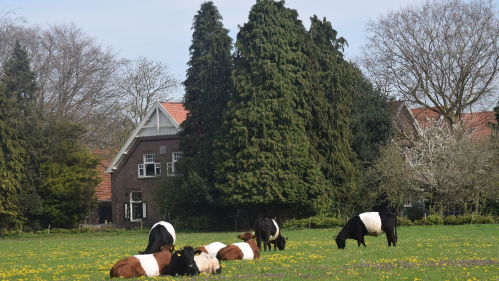 Lakenvelderhoeve Klein Graffel