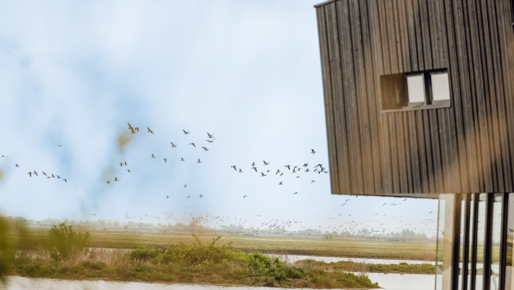 Stad en Oostvaarders