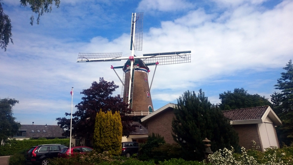 Molen de Zwaan Ouddorp