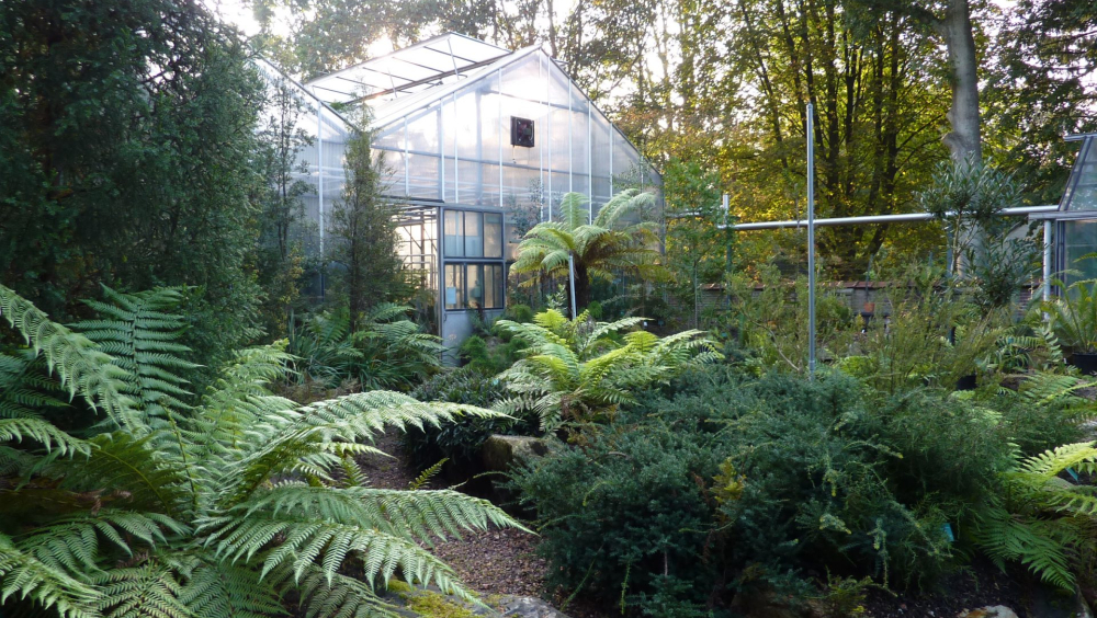 Botanische tuin Pinetum Blijdenstein