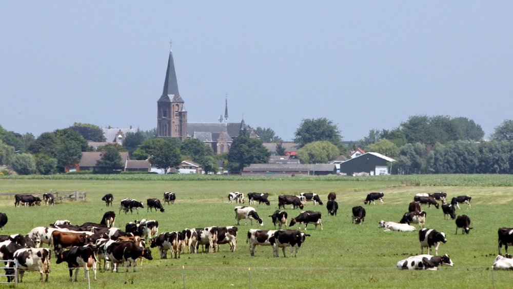 R.K. Johannes de Doper, Mijdrecht/Wilnis