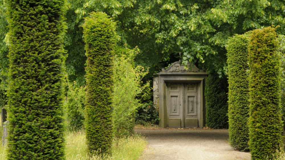 Begraafplaats Reinaldstraat